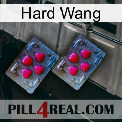 Hard Wang 14